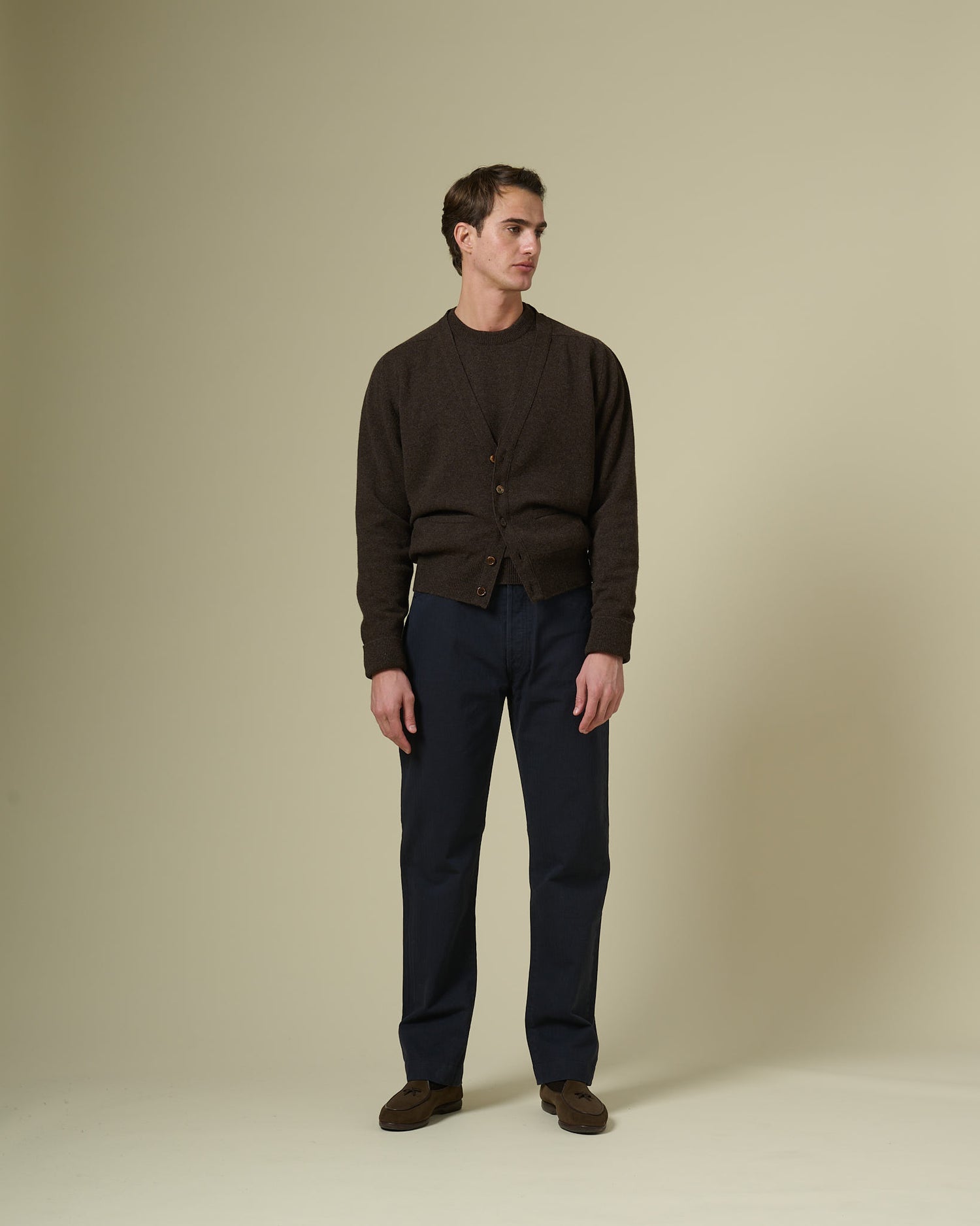 Standard Cardigan in Earth