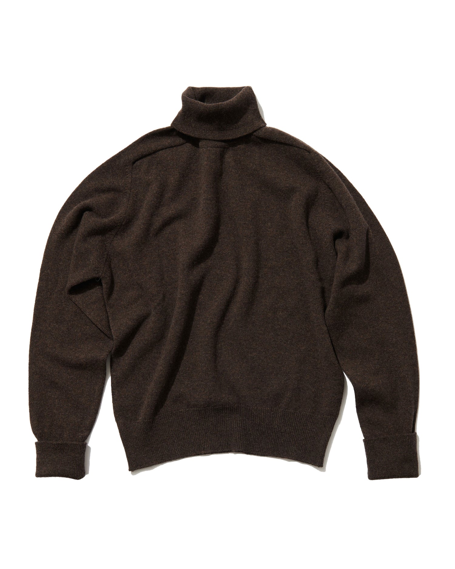 Standard Turtleneck in Earth