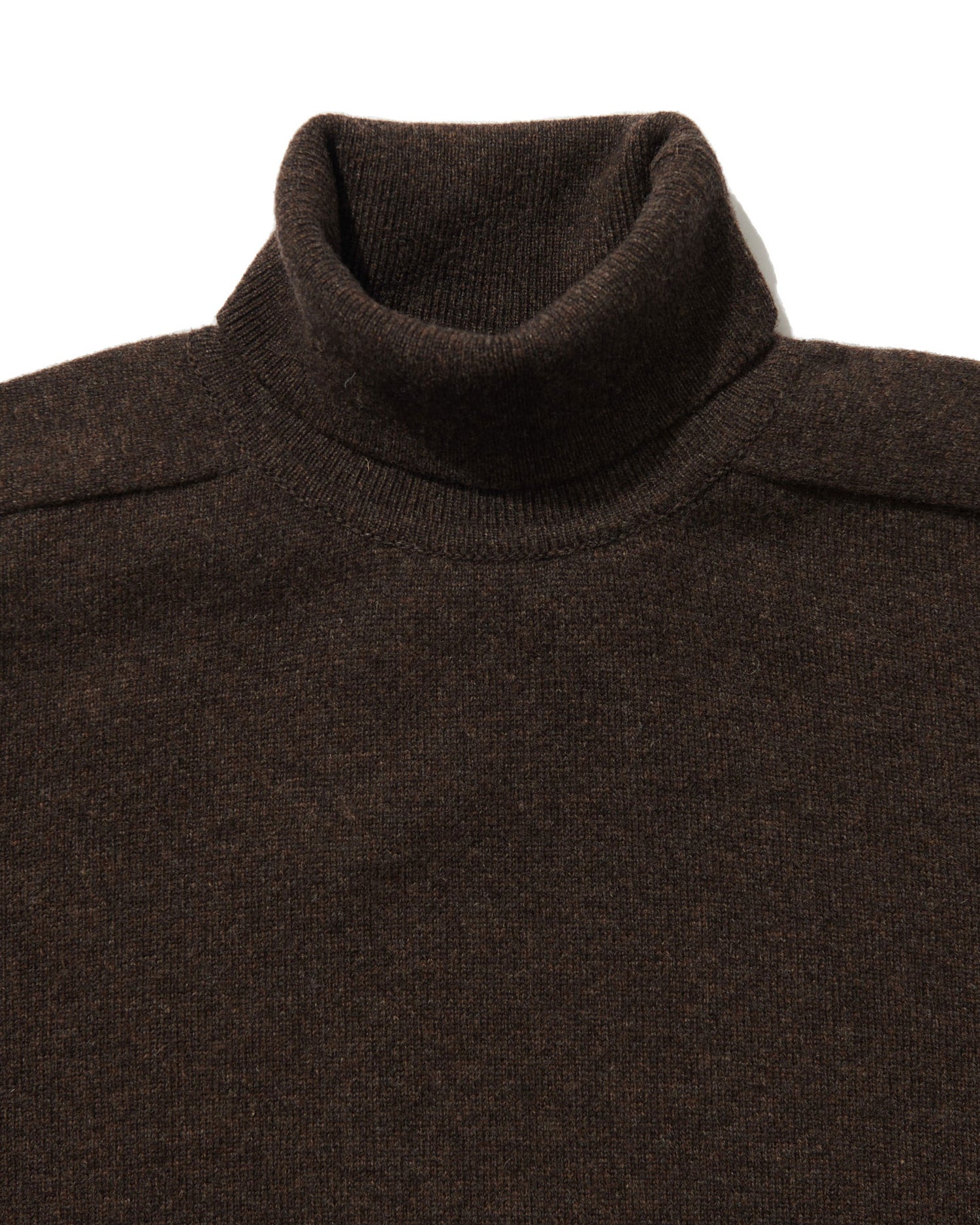 Standard Turtleneck in Earth