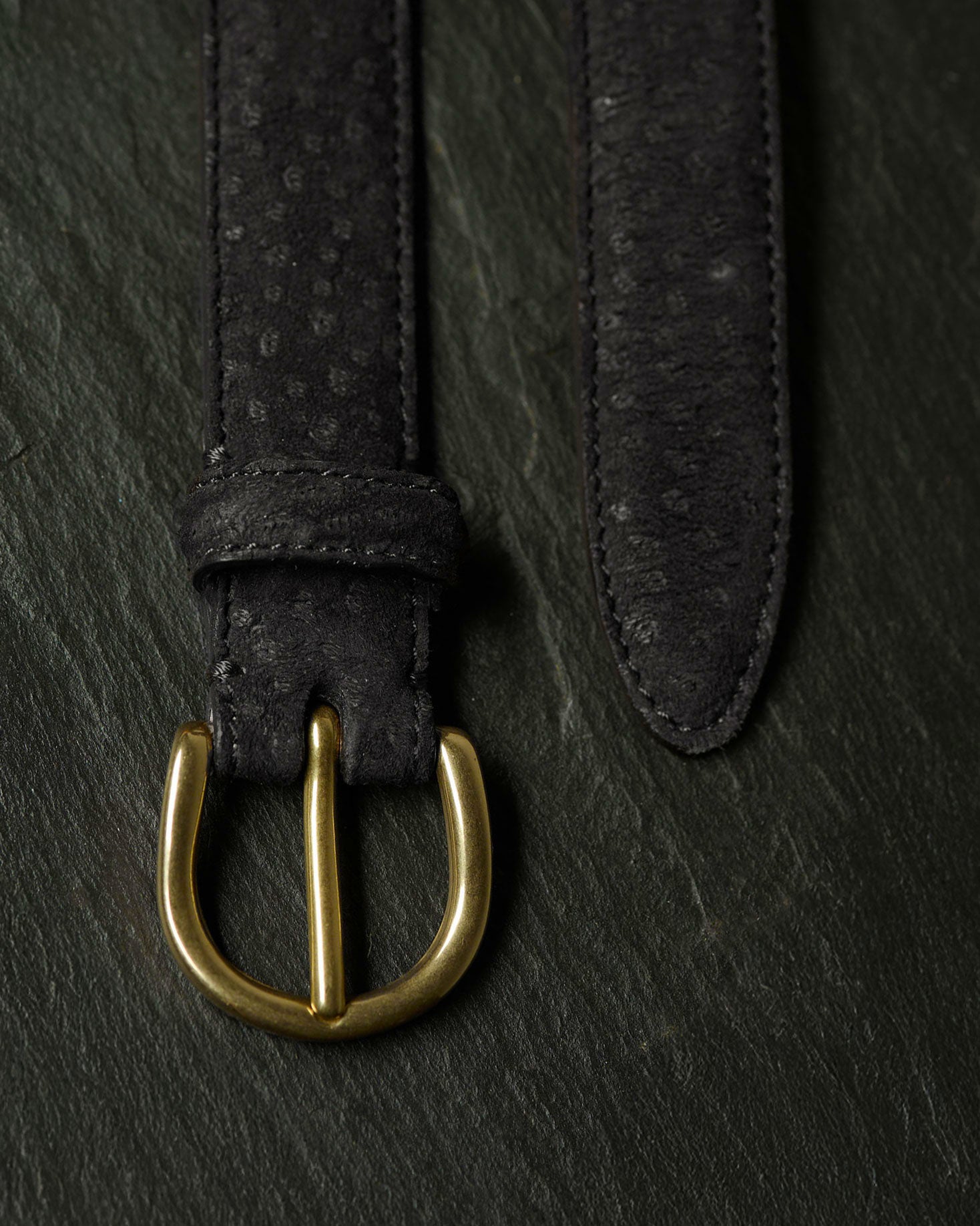 Nonpareil Carpincho Belt in Black