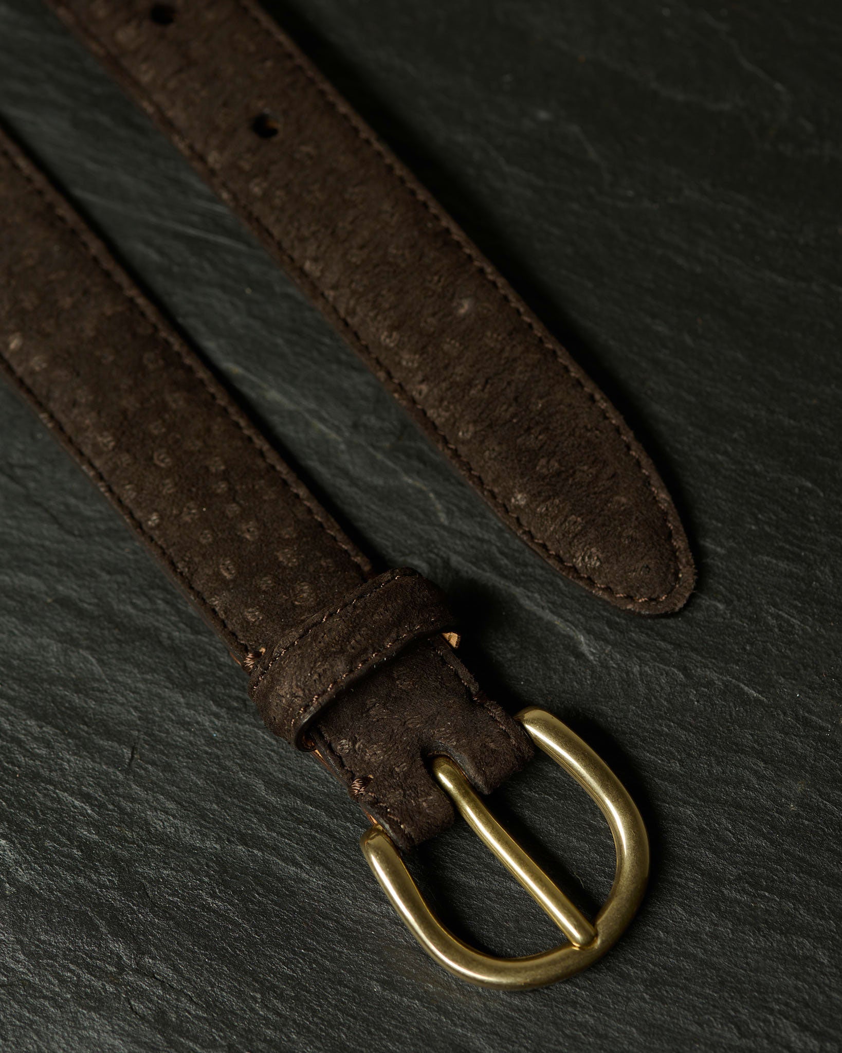 Nonpareil Carpincho Belt in Dark Brown
