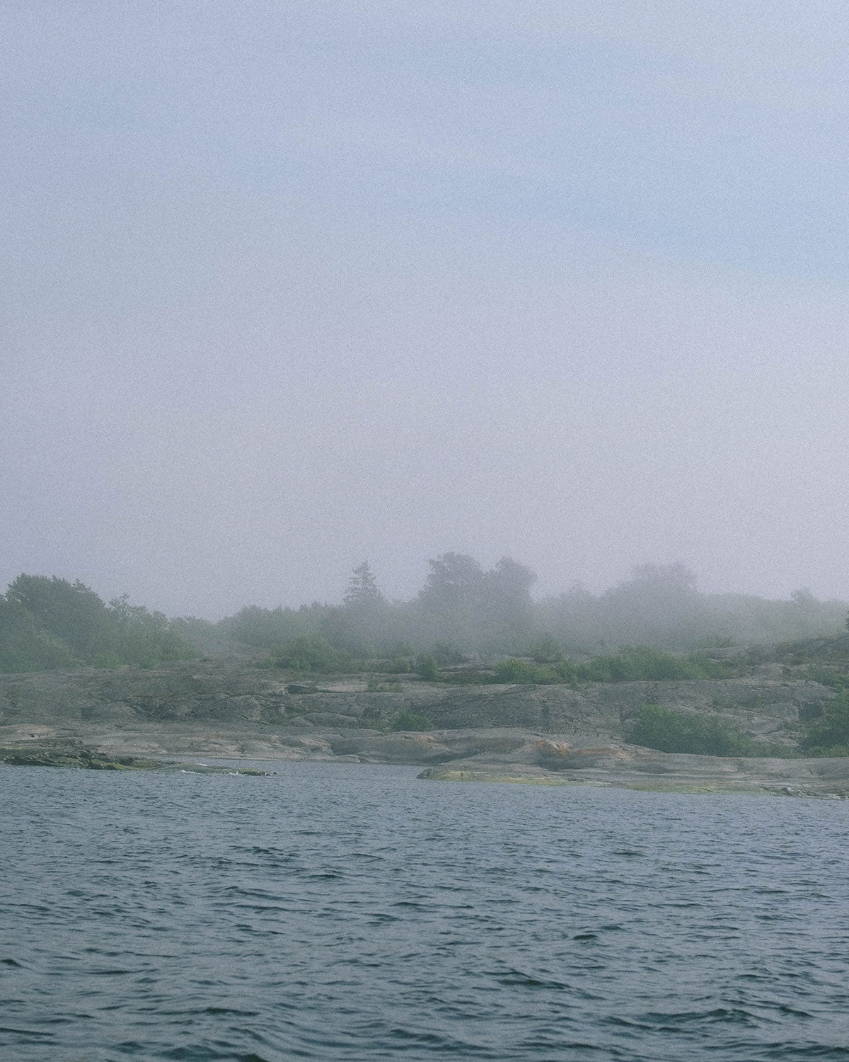 Archipelago rocks and low trees in fog, seen from the water